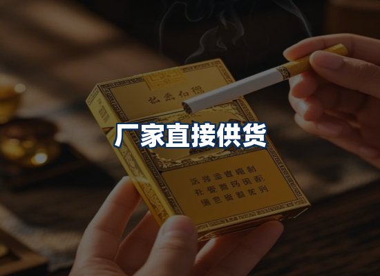专业团队办公环境